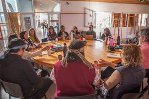 Lee más sobre el artículo Se realizó en Neuquén el 8vo Xawvn de Puelmapu